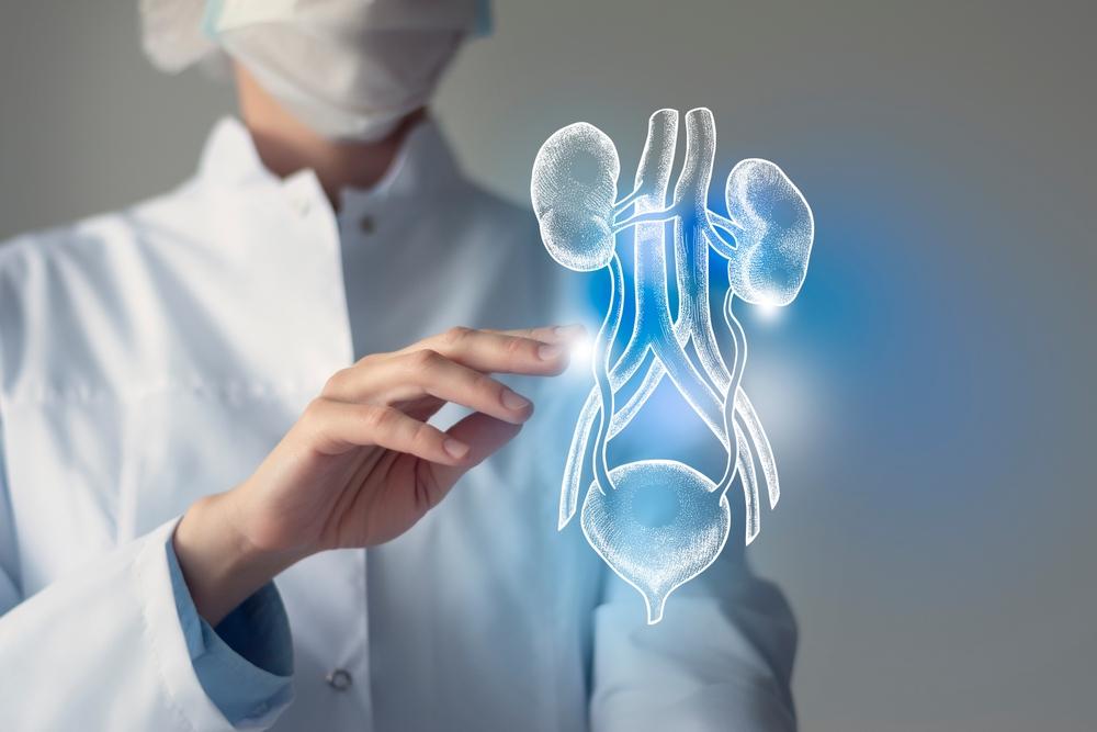 علاج التهاب المسالك البولية